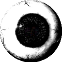 prunsel avatar