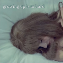 przygnebieniaa avatar