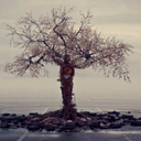 pseudonymsical avatar