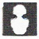 pseudospiegel avatar