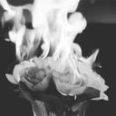 psico-psicotica avatar