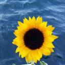 psikoterapist avatar