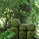 pspicerwensley avatar