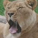 pssstpassiton avatar