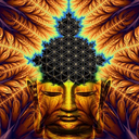 psychedelicasylum avatar