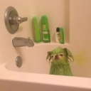 psychic-donut avatar