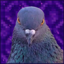 psychic-pigeons avatar