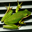 psychic4985room avatar