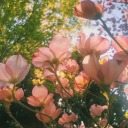 psychiccloudmaker avatar