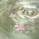 psychoe123 avatar