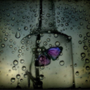 psychologyoflife avatar