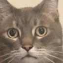 psychoneatfreak avatar