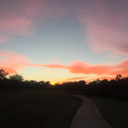 psychotic-sanctuary avatar