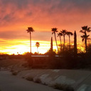 psychotic13catastrophe-blog avatar