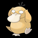 psyduck-maniac avatar