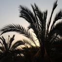 ptitlignedechance avatar