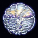 ptitsa-zlitsa avatar