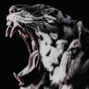 ptsdestructive avatar