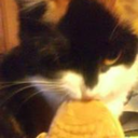 ptz-blog-blog avatar