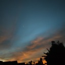 puankelanablog avatar