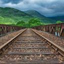 public-transportation-tournament avatar