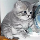 publicationtargettedweyph avatar