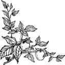 publicschoolnyc avatar