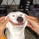 publicunderwear avatar