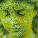 publikasoleco avatar