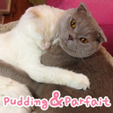 puddingparfait avatar