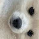 puddleofstress avatar