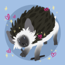 pudgiehedgie avatar