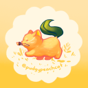 pudgypeachcat avatar