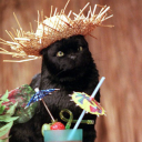 puertoitalian avatar