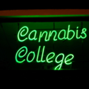 puffendatpiff-blog-blog-blog avatar