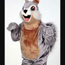 puffythe-squirrel avatar