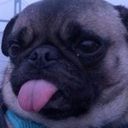 pugmama420 avatar