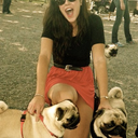 pugnacious-blog avatar