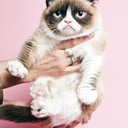 pugpugprincess avatar