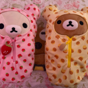 pugsandrainbowss avatar