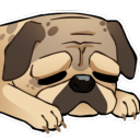 pugsofwrath avatar