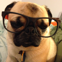 pugspugsandmorepugs-blog avatar