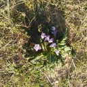 puisquilfautunnom avatar