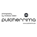 pulcherrima-photography avatar