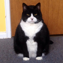 pulll-the-lever-kronk avatar