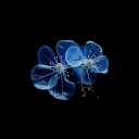 pullmefromtheearth avatar