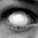 pullthetriggerb1tch avatar