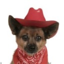 pulppro avatar