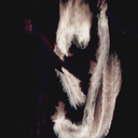 pulsarphotography avatar