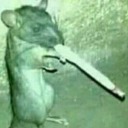 pulse-code-modulation avatar